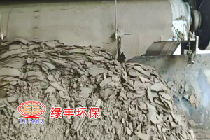 污泥处置技术遍地开花 中国污泥处理处置行业前景调研