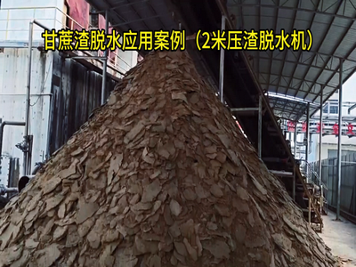 广西甘蔗渣脱水应用